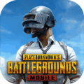 pubgںֱװ°