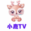 С¹T