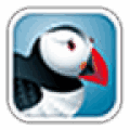 Puffin