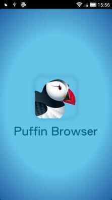 Puffinͼ1