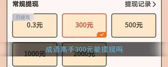 300Ԫ