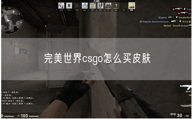 羺csgoôƤ