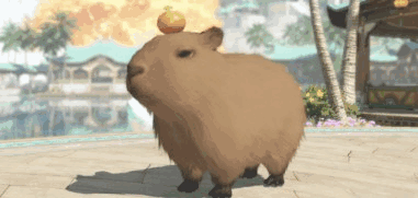 ˮοƤôȡ