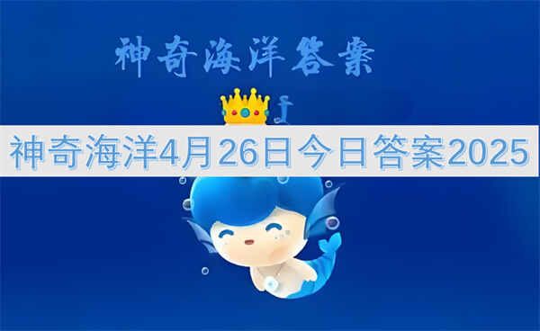 溣426սմ2025
