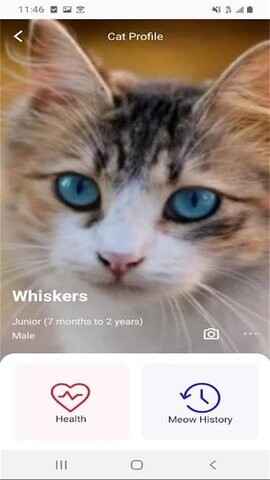 MeowTalkͼ2