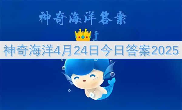 溣424սմ2025