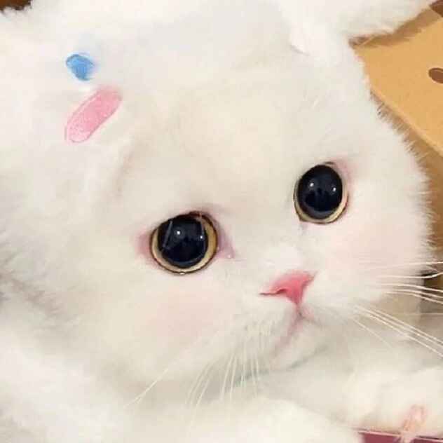 豦