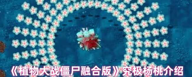 ֲսʬںϰ澿һ