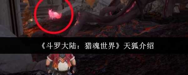 ޴½Իָ