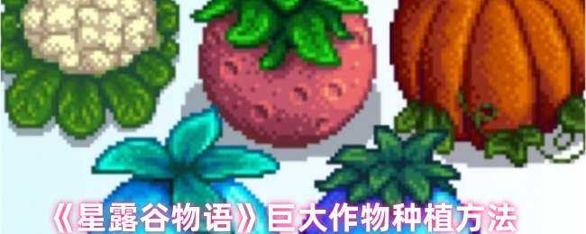 ¶޴ֲʽ