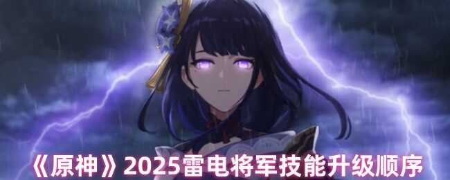 ԭ2025׵罫˳