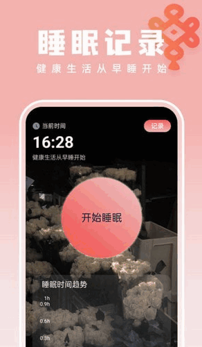 ֽʦͼ3