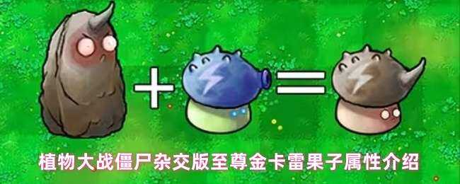 ֲսʬӽ׹ָ