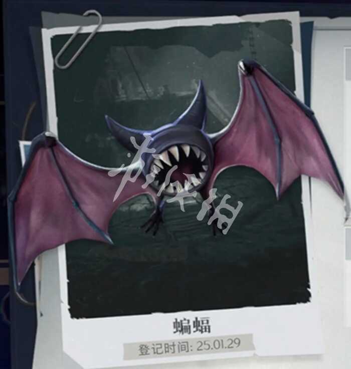 Ȼж淨ʲô