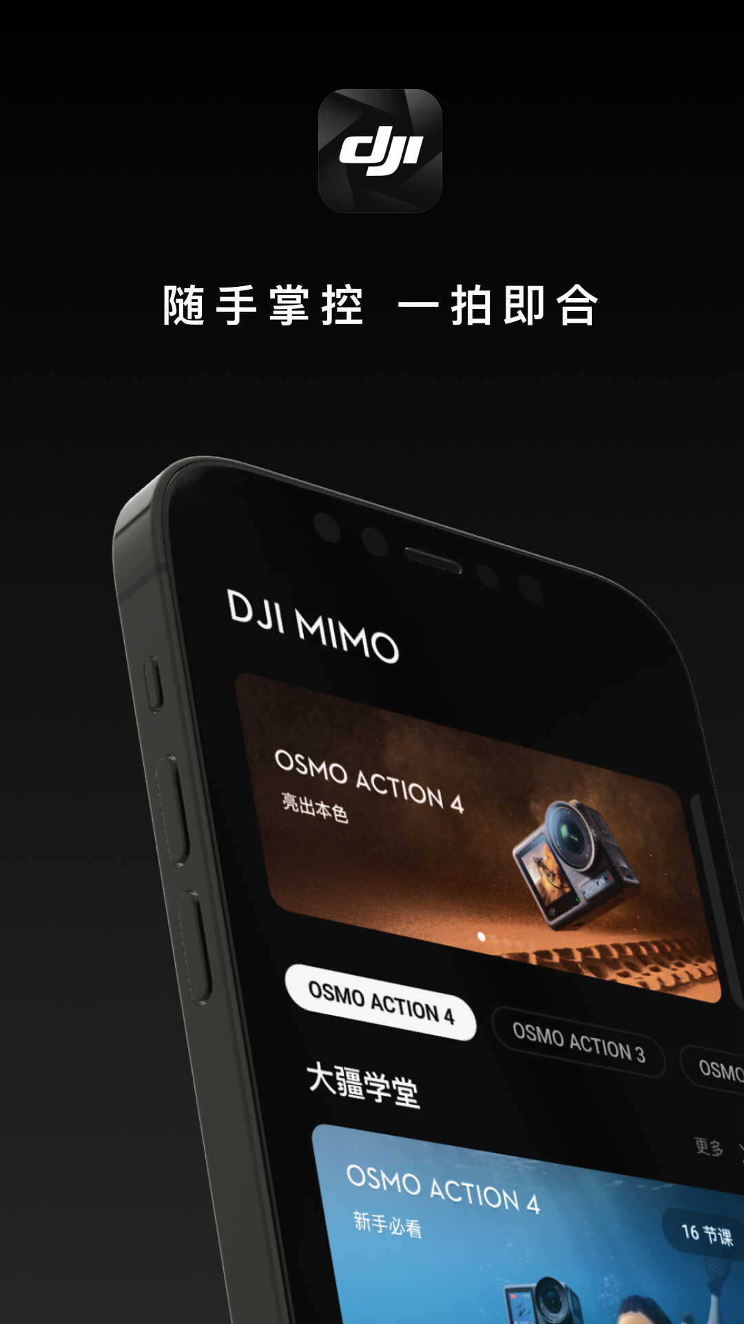 DJIͼ1