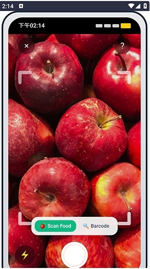Fruitͼ2