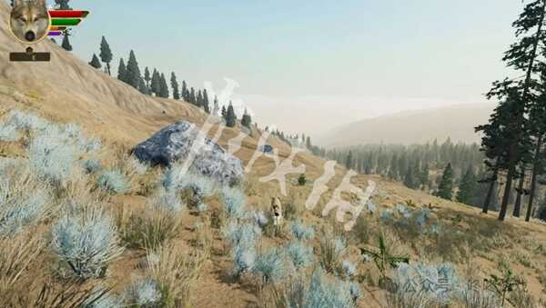 ҰѰҰ