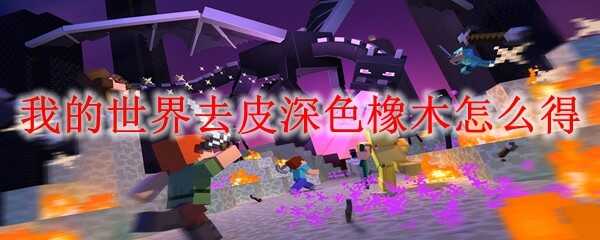 ҵȥƤɫľε