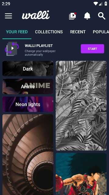 Walliͼ3