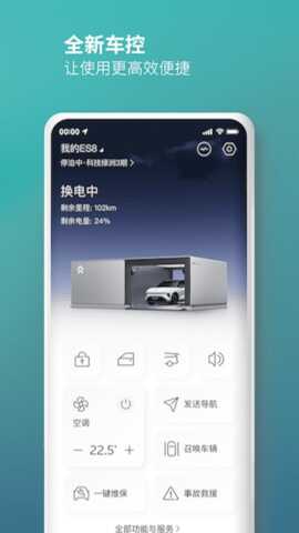 εAPPͼ3