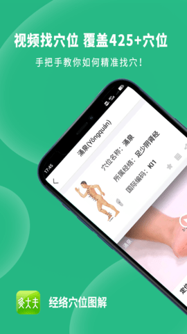 经络穴位图解截图1