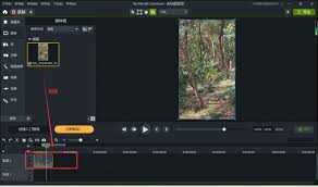Camtasia Studioε