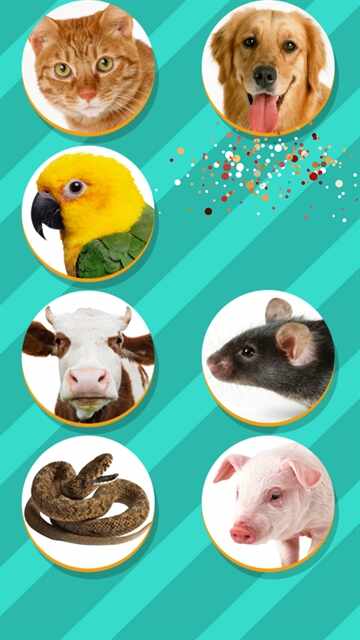 动物语言翻译模拟器截图1