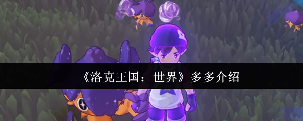 ���������������˵��