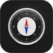 ʵ��ָ����