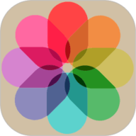 �������ֽ