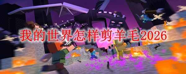 �ҵ�������������ë2026