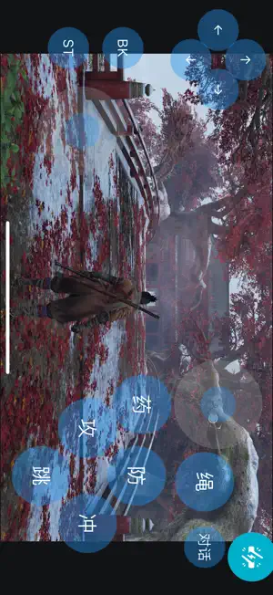 ����ӽ�ͼ4