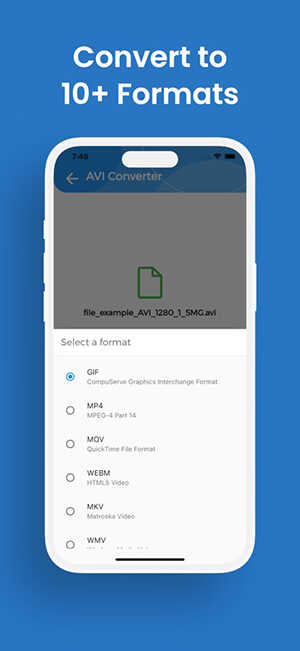 AVIConverter��ͼ4