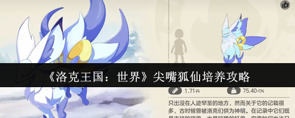 ���������������������������