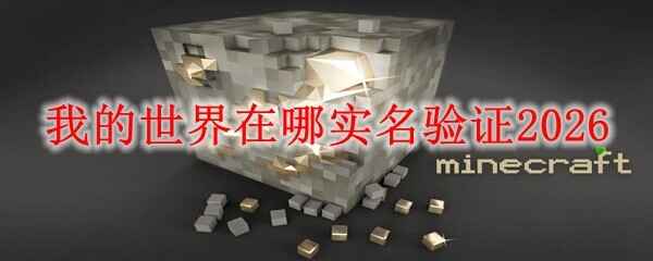 �ҵ�����ص�������ʵ����֤2026