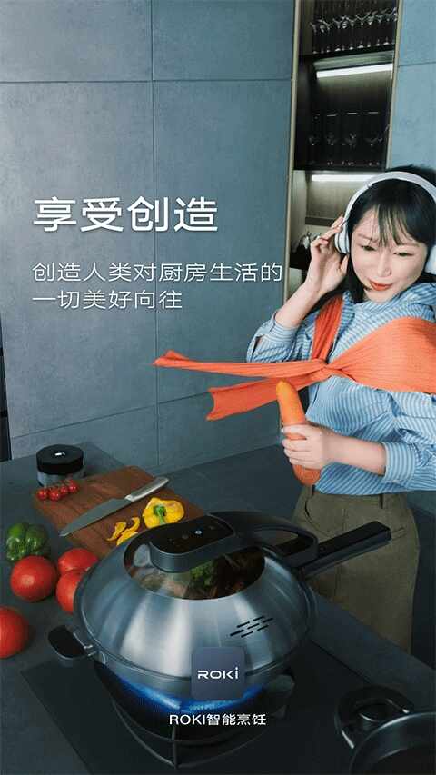 Roki�ǻ���⿣�ROKI������⿣���ͼ5