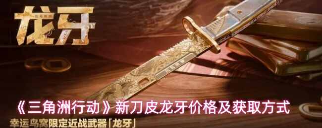 �������ж��µ�Ƥ�����۸񼰻�ȡ��ʽ