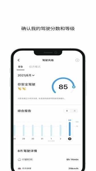 Infocar截图2