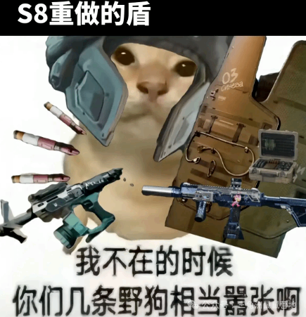 �������ж�s8��������һ��