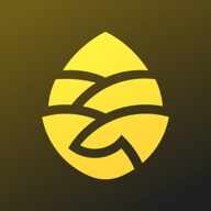 �ɹ�����