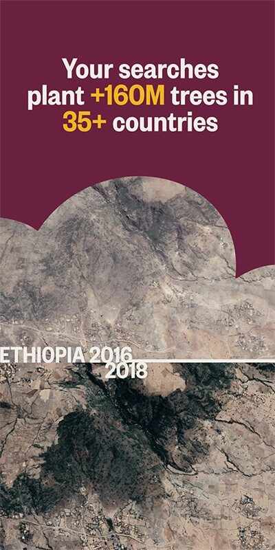 ecosia�������ͼ5