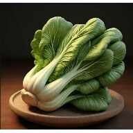 ��̷��˵������°�