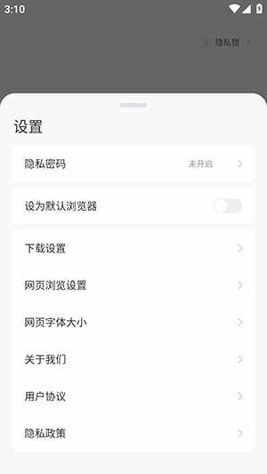 神隐浏览器截图3