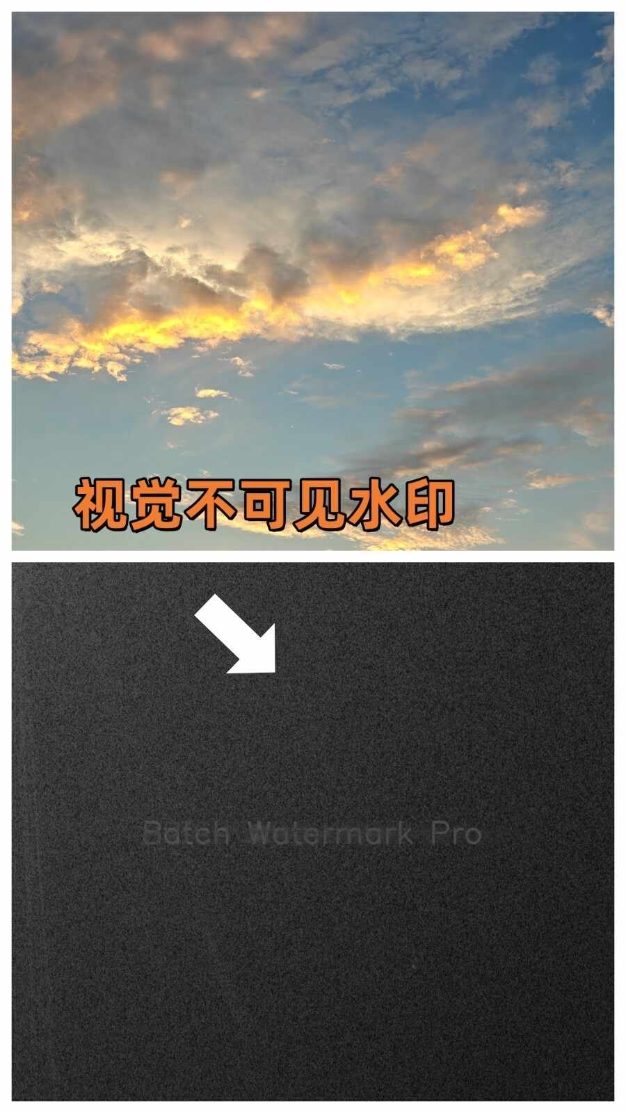 ����ˮӡPro��ͼ3