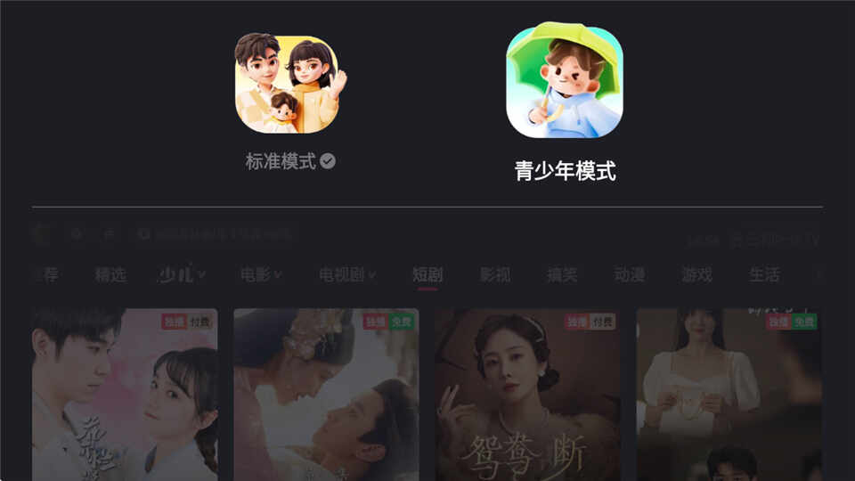 ���ֵ��Ӱ氲װ��