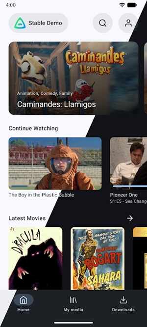 Findroid�ٷ����°��ͼ1