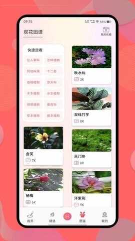 �������ٷ����ͼ4