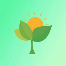 С��â-С��â��׿���°�����