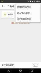 silk������ٷ������ͼ5