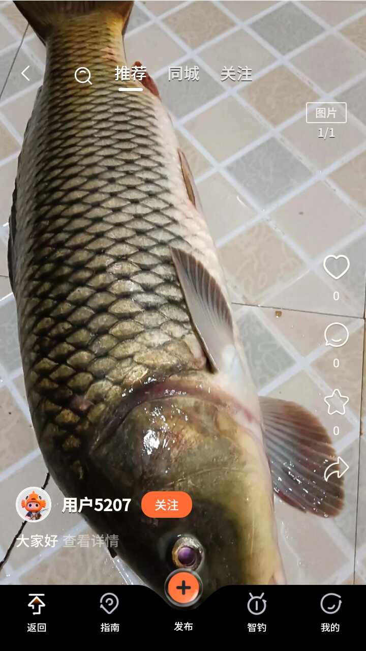 С����APP�ٷ���׿���ͼ4